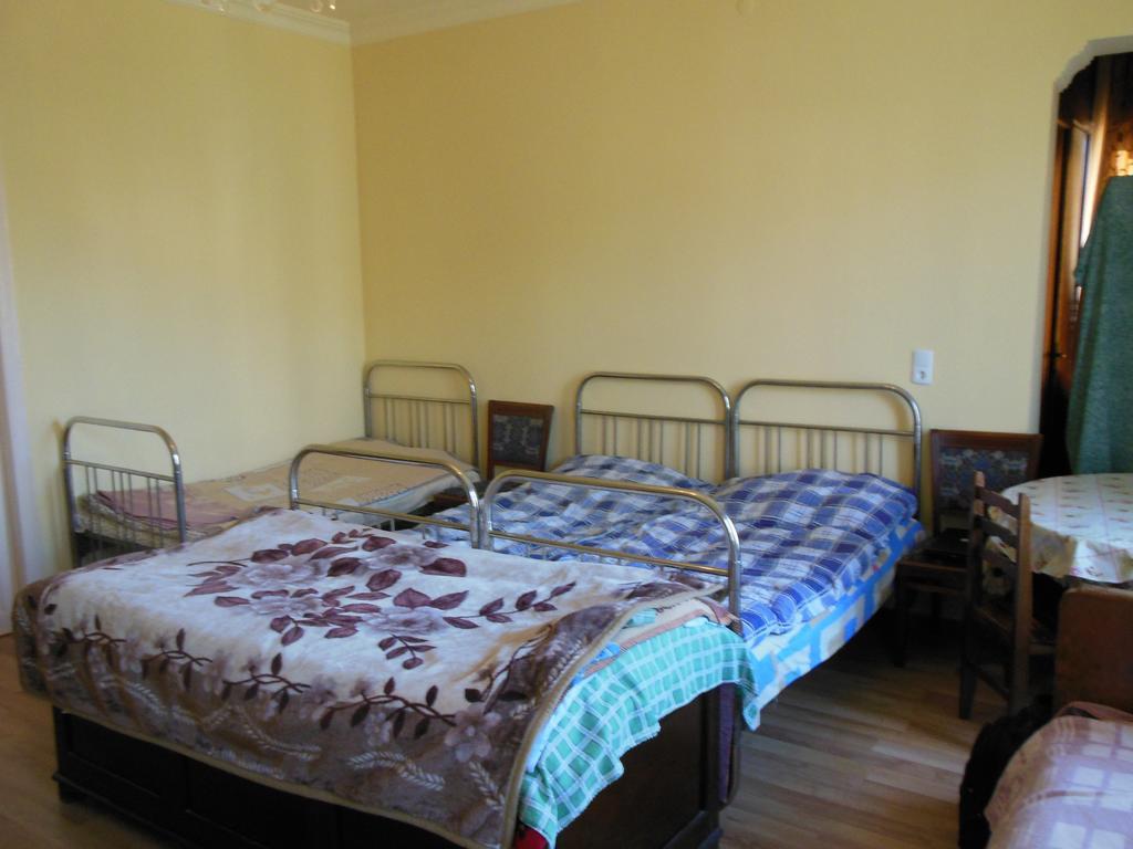 Medico And Suliko Guest House Kutaisi Rum bild