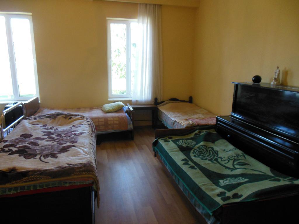 Medico And Suliko Guest House Kutaisi Rum bild