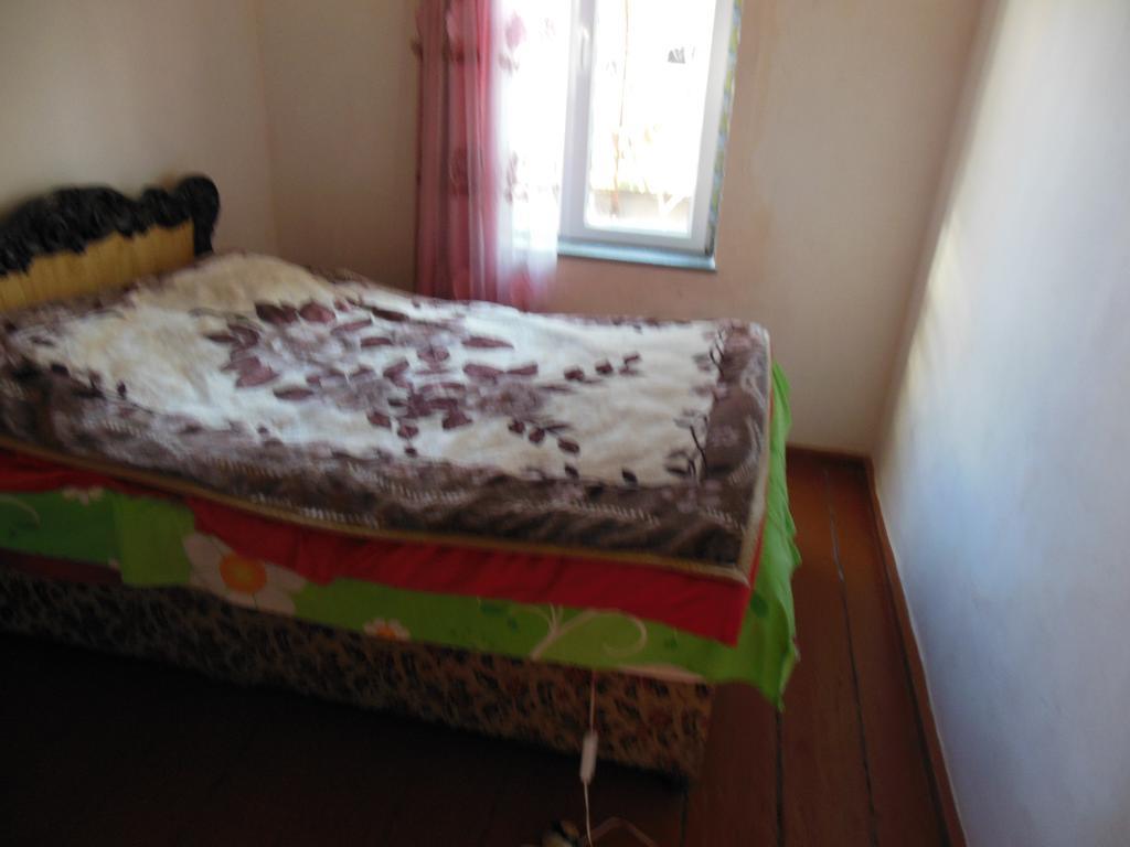 Medico And Suliko Guest House Kutaisi Rum bild