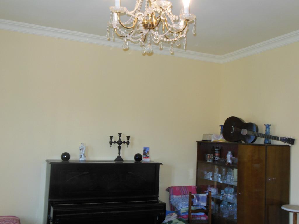 Medico And Suliko Guest House Kutaisi Rum bild
